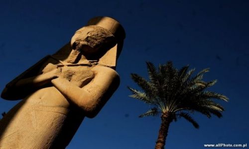 Zdjecie EGIPT / brak / Luxor / Karnak