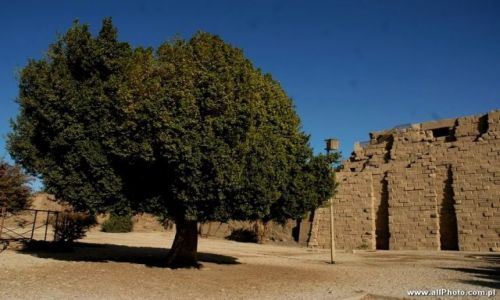 Zdjecie EGIPT / brak / Luxor / Karnak