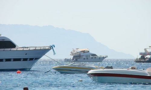 Zdjecie EGIPT / Paw. Synaj / Sharm el Sheik / Port