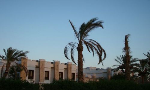 Zdjecie EGIPT / Paw. Synaj / Sharm el Sheik / Przed hotelem