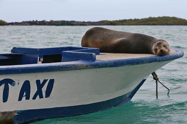 Zdjęcia: Puerto Ayora, Galapagos, Water Taxi, EKWADOR Zdjęcia: Puerto Ayora, Galapagos, Water Taxi, EKWADOR