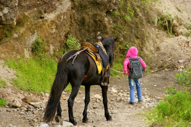 Zdjęcia: Okolice Quito, Okolice Quito, Okolice Quito, EKWADOR Zdjęcia: Okolice Quito, Okolice Quito, Okolice Quito, EKWADOR