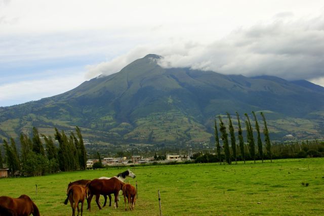 Zdjęcia: Papayan, Papayan, Papayan, EKWADOR Zdjęcia: Papayan, Papayan, Papayan, EKWADOR