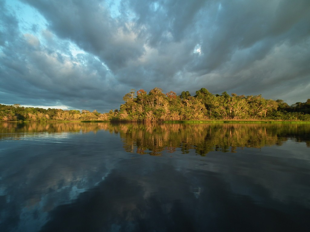 Zdjęcia: Yasuni, Oriente, Chwilę przed burzą tropikalną, EKWADOR Zdjęcia: Yasuni, Oriente, Chwilę przed burzą tropikalną, EKWADOR