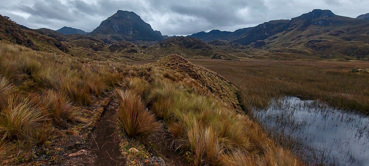 Zdjęcia: Cajas National Park, Kolejny wspaniały widok, EKWADOR Zdjęcia: Cajas National Park, Kolejny wspaniały widok, EKWADOR
