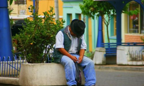 Zdjcie EKWADOR / Otvelo / Otvelo / Senno