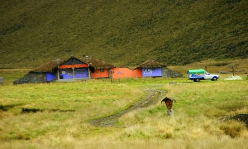 Zdjecie EKWADOR / Riobamba / Riobamba / Ranczo