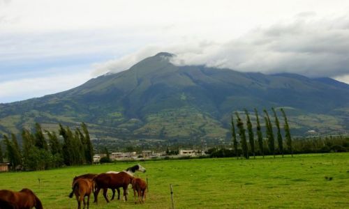 Zdjcie EKWADOR / Papayan / Papayan / Papayan