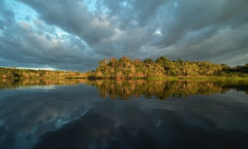Zdjecie EKWADOR / Oriente / Yasuni / Chwil przed burz tropikaln