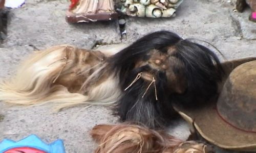 Zdjęcie EKWADOR / Cotocachi / Otavalo / Sansa