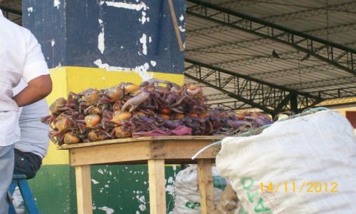 Zdjęcie EKWADOR / Quito Canton / Merkado Banos / Krabiki