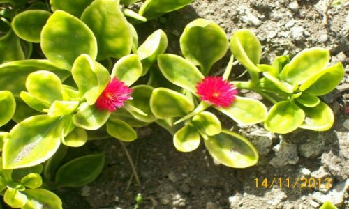 Zdjęcie EKWADOR / Quito Canton / Merkado Banos / W drodze na Tungurahua