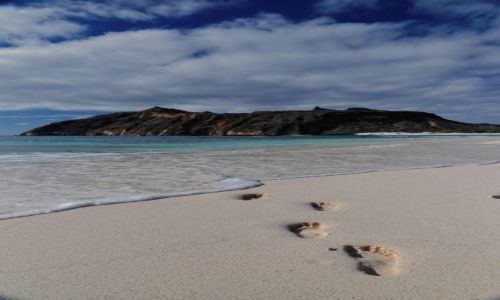 Zdjcie EKWADOR / Galapagos / San Cristbal / Stopy