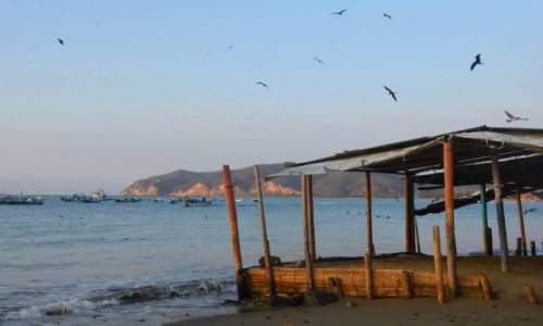 Zdjcie EKWADOR / Wybrzee Pacyfiku / Puerto Lopez / W Puerto Lopez