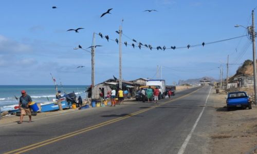 Zdjęcie EKWADOR / Wybrzeże Pacyfiku / Droga z Puerto Lopez do Manty / Targ rybny