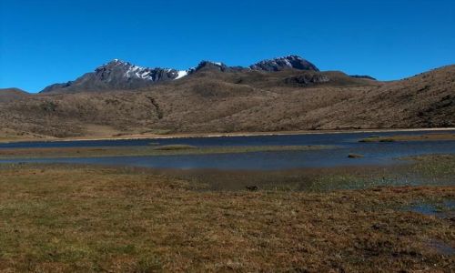 Zdjecie EKWADOR / brak / Park Narodowy Cotopaxi / Jezioro Limpiopungo