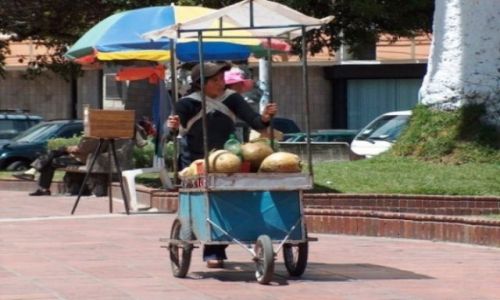 Zdjecie EKWADOR / brak / Riobamba / wiee mleko z kokosw