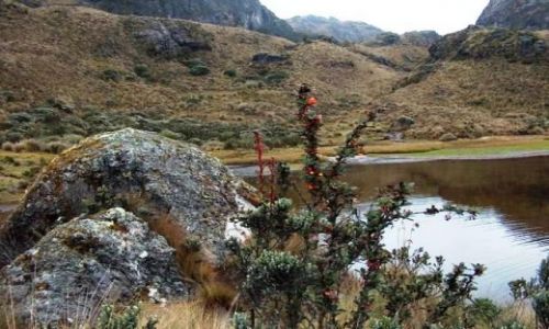Zdjecie EKWADOR / brak / Okolice Cuenci / Park Narodowy Cajas