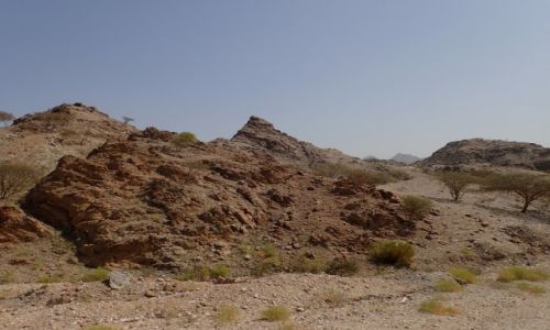 Zdjcie ZJEDNOCZONE EMIRATY ARABSKIE / Fujairah / Fujairah / gry Hajar