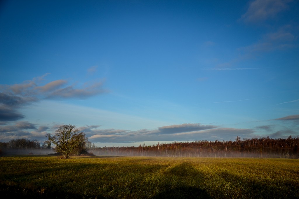 Zdjęcia: Wyspa Sarema, Wyspa Sarema, Saremaa, ESTONIA Zdjęcia: Wyspa Sarema, Wyspa Sarema, Saremaa, ESTONIA