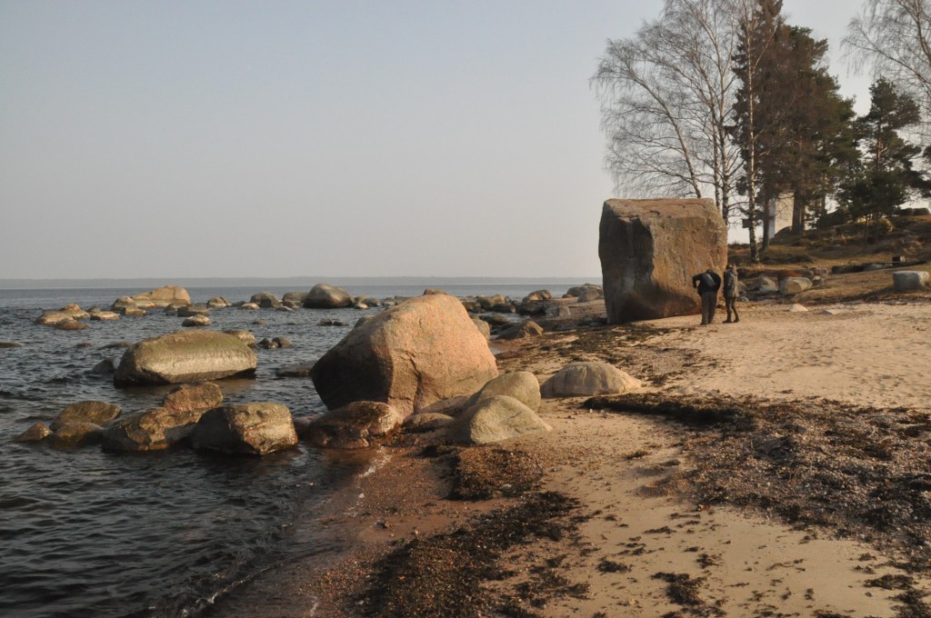 Zdjęcia: Kasmu, Park Narodowy Lahemaa, Głazy narzutowe, ESTONIA Zdjęcia: Kasmu, Park Narodowy Lahemaa, Głazy narzutowe, ESTONIA