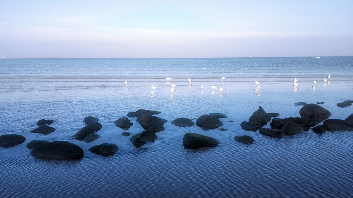 Zdjęcia: Pirita, Harjumaa, Nad Zatoką Fińską, ESTONIA Zdjęcia: Pirita, Harjumaa, Nad Zatoką Fińską, ESTONIA
