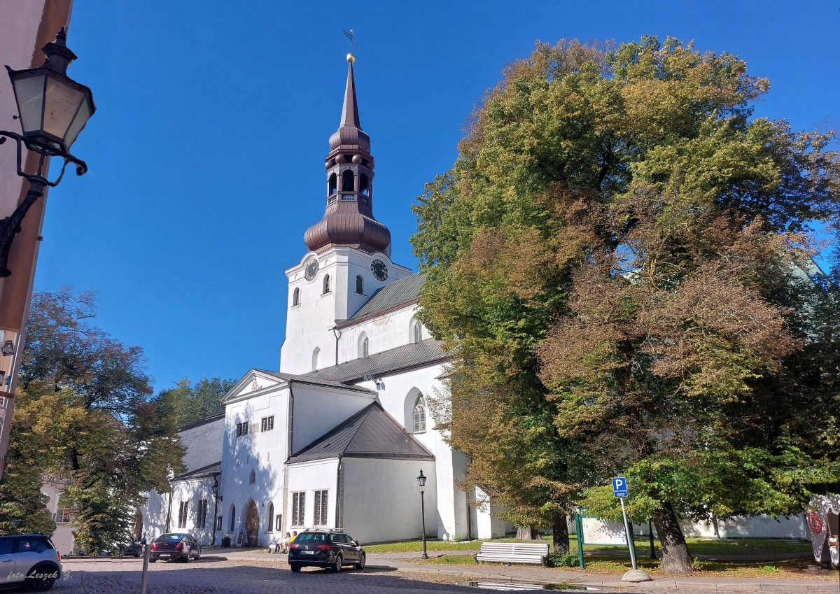 Zdjęcia: Tallin., Tallin., Katedra Najświętszej Maryi Panny., ESTONIA Zdjęcia: Tallin., Tallin., Katedra Najświętszej Maryi Panny., ESTONIA