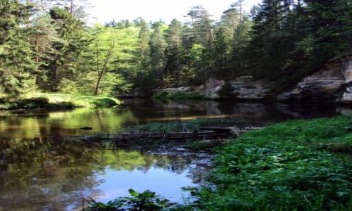 Zdjęcie ESTONIA / - / Okolice Mooste / Wielka Zieleń