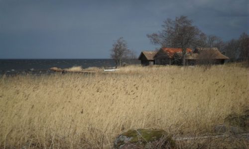 Zdjecie ESTONIA / - / Tallin / Litwa otwa Estonia