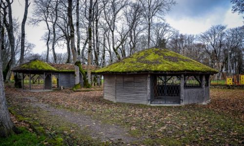 Zdjcie ESTONIA / Wyspa Sarema / Wyspa Sarema / Saremaa