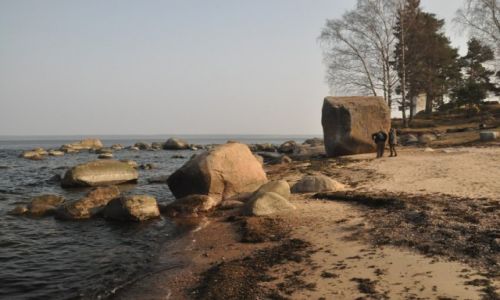 Zdjecie ESTONIA / Park Narodowy Lahemaa / Kasmu / Gazy narzutowe