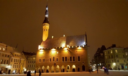 ESTONIA / Harjumaa / Tallinn / Tallinn Town Hall
