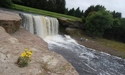 Zdj�cie ESTONIA / Estonia / wodospad Jagala / Jagala Juga, wodospad Jagala (Estonia)