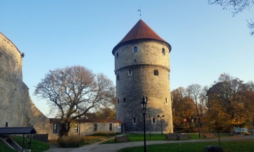 Zdjecie ESTONIA / Harjumaa / Tallinn / Kiek in de Kk