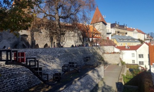 Zdjecie ESTONIA / Harjumaa / Stare miasto / Na murach