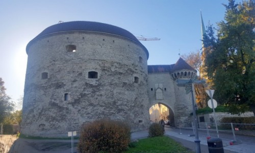 Zdjecie ESTONIA / Harjumaa / Tallinn / Gruba Magorzata