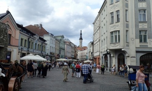 Zdjęcie ESTONIA / - / Tallinn / Tallińska starówka