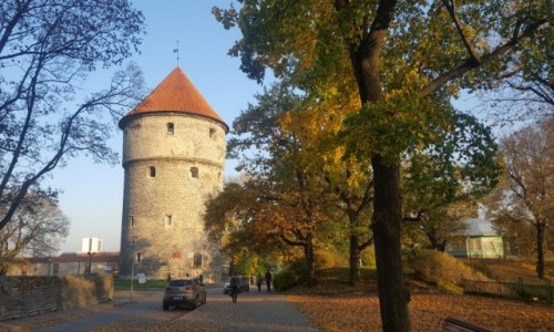 Zdjecie ESTONIA / Harjumaa / Tallinn / Jesienny Tallin