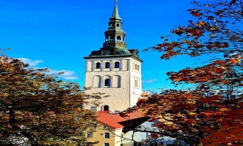 Zdjcie ESTONIA / Tallin / Stare miasto / Wiea kocioa w. Mikoaja