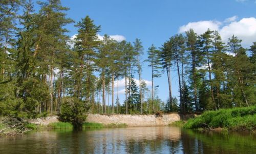 Zdjęcie ESTONIA / Południo-wschodnia Estonia / Vohandu / Vohandu 1