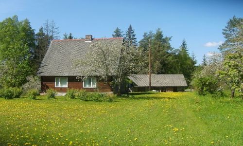 Zdjecie ESTONIA / Poudniowo-wchodnia Estonia / Dolina rzeki  Piusy / W dolinie Piusy 1