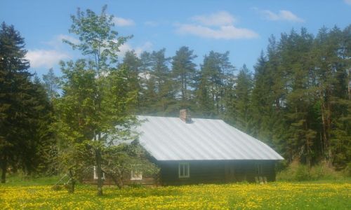 Zdjęcie ESTONIA / Południowo-wchodnia Estonia / Dolina rzeki  Piusy / W dolinie Piusy 2