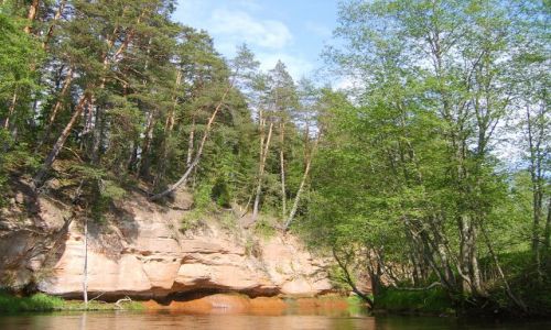 Zdjęcie ESTONIA / Południowo-wschodnia Estonia / Vohandu / Vohandu cd.4