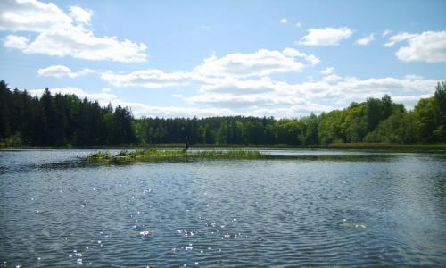 Zdjęcie ESTONIA / południo-wschodnia Estonia / Vohandu / Vohandu cd10