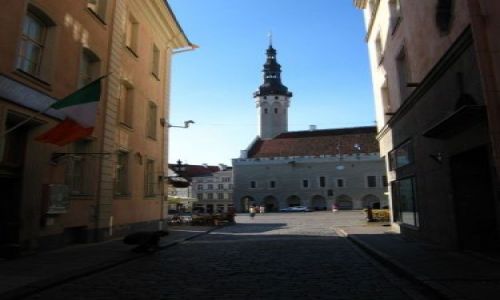 Zdjecie ESTONIA / brak / tallin / widok na rynek gwny wczesnym rankiem