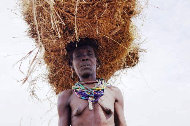 Zdjęcia: Omorate, Omo, Fryzura ?? Dassanech, ETIOPIA Zdjęcia: Omorate, Omo, Fryzura ?? Dassanech, ETIOPIA