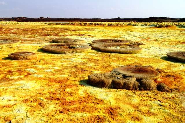 Zdjęcia: Dallol, Afar, Takie grzyby też rosną, ETIOPIA Zdjęcia: Dallol, Afar, Takie grzyby też rosną, ETIOPIA