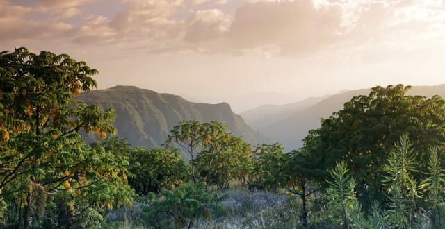 Zdj cia: Góry Simien, Amhara , 1,Góry Simien, ETIOPIA Zdj cia: Góry Simien, Amhara , 1,Góry Simien, ETIOPIA