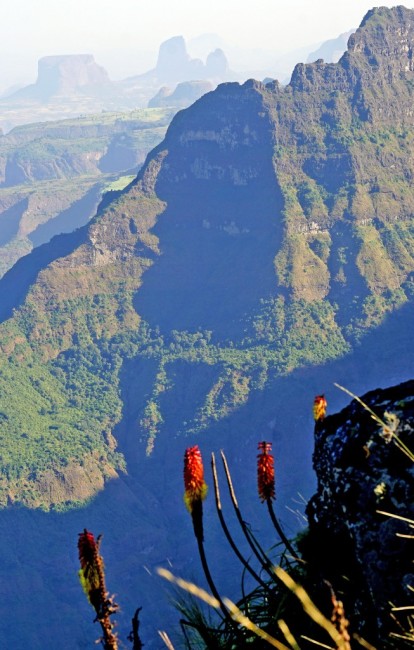 Zdj cia: Góry Simien, Etiopia PN, 41.Widok na Simien Wysoki z Imet Gogo, ETIOPIA Zdj cia: Góry Simien, Etiopia PN, 41.Widok na Simien Wysoki z Imet Gogo, ETIOPIA