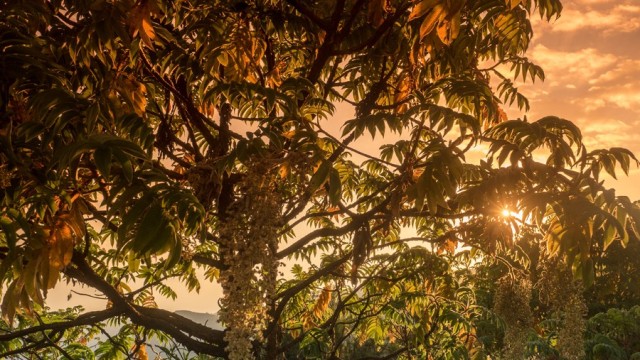 Zdj cia: Góry Simien, Etiopia PN, 61,Zmierzch w górach Simien, ETIOPIA Zdj cia: Góry Simien, Etiopia PN, 61,Zmierzch w górach Simien, ETIOPIA